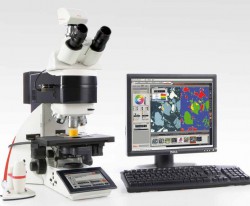 Dịch vụ phân tích cấu trúc và đặc tính của vật liệu 