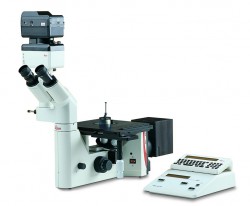 Kính hiển vi kim tương Leica DM ILM