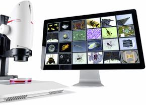 Các ứng dụng khoa học đời sống